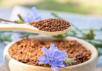 Ground chicory root on a wooden spoon and chicory flowers on a rustic wooden background. Alternative medicine. Healthy drinks. chicory drink