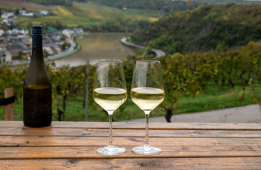 Glasses of white dry riesling wine made on Moselle river valley in Germany or Luxembourg, view on terraced vineyards