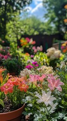 Colorful Blooming Flowers Fill a Vibrant Garden With Diverse Plants Under a Clear Blue Sky During a Sunny Day in Summer