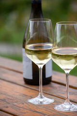 Glasses of white dry riesling wine made on Moselle river valley in Germany or Luxembourg, view on terraced vineyards
