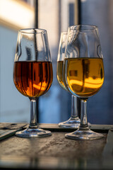 Sherry wine tasting, fino, olorosso, amontillado, cream jerez sherry fortified wine made from palomino white grape in bogedas in Jerez de la Frontera, Cadiz, Andalusia, Spain