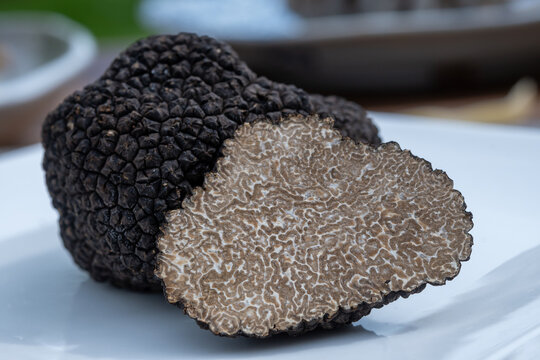 Delicious mushrooms, fresh black summer truffle mushroom in pieces for making truffle dishes with tasty aroma