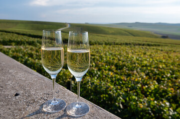 Tasting of Champagne sparkling wine with little bubbles on green vineyards near Ludes, Louvois, Val de Livre, Champagne, France