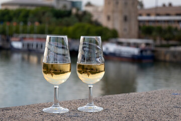 Sherry wine tasting on roof of old Triana district in Sevilla with view on Sevilla houses and river, wine glasses
