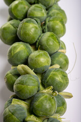 Green brussels sprouts on stalks on white table