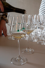 Tasting of white dry wine made on Moselle river valley in Luxembourg, winery visit in Grevenmacher, wine from terraced vineyards