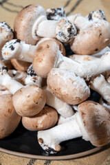 Organic Brown champignons mushrooms from underground caves in Kanne, Belgium, close up, vegetarian food