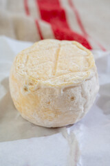 Cheese collection, soft goat French cheese with mold crottin de Chavignol produced near Sancerre on cheese farm, Loire Valley close up