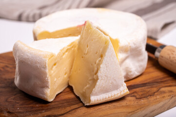 Cheese collection, French reblochon de savoie gratin cow milk cheese close up