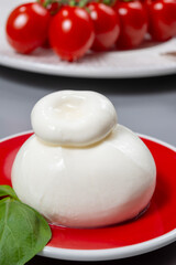 Cheese collection, fresh soft white burrata cheese ball made from mozzarella and cream from Apulia, Italy, close up
