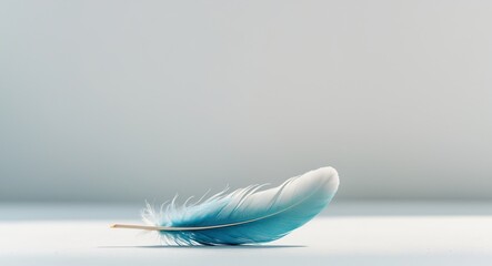 The psychology of resilience and coping strategies