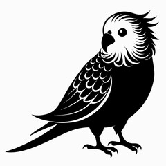 Budgerigar Black Silhouette Vector on White Background