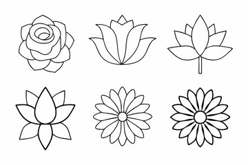 Elegant Flower Illustration Pack
