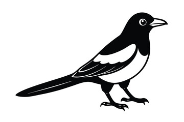 cute-magpie-cartoon