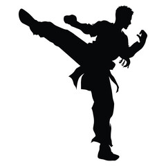 Elegant Silhouette Illustration Martial Art
