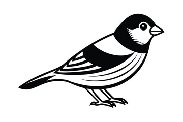 Obraz premium cute-goldfinch-cartoon
