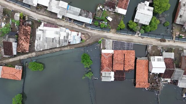 An area in Demak, Central Java, Indonesia, experiences daily tidal flooding, leading to land erosion and the destruction of houses. This is a direct impact of climate change and global warming.
