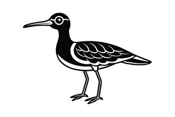 cute-curlew-cartoon