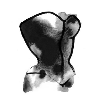 Torso
