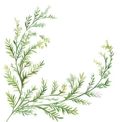 Fototapeta premium Asparagus Fern Leaf Corner frame of watercolor, with minimal details and a simple illustration. Floristic design elements for floristics, Greeting card, Floral print, Plant paint.
