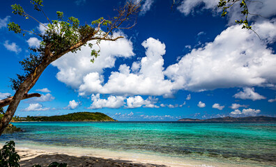 Some trees still damaged on Hawksnest beach after hurricanes Irmala and Maria on St John