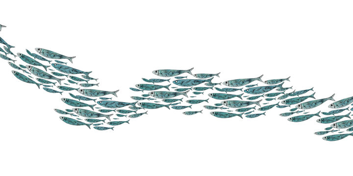Siluetas de sardinas en el mar. Banco de peces pintados en acuarela. Fondo blanco. Estilo japon&eacute;s, ornamental.
