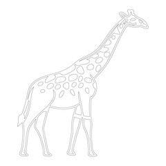 Simple outline drawing of a giraffe , perfect for coloring, crafting, and educational use