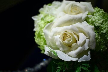 薔薇
