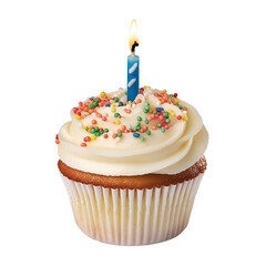 Birthday cupcake with candle.