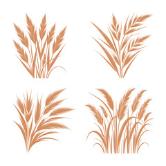 vector set silhouette of reeds - brown (artwork 2)