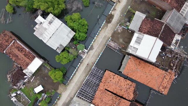 An area in Demak, Central Java, Indonesia, experiences daily tidal flooding, leading to land erosion and the destruction of houses. This is a direct impact of climate change and global warming.