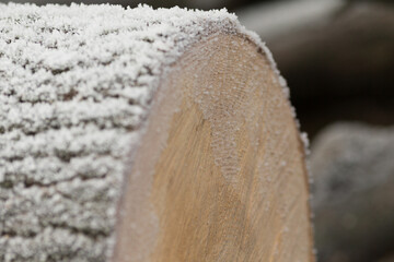 This striking image shows a frosted log crosssection, wood texture against a backdrop of pristine snow
