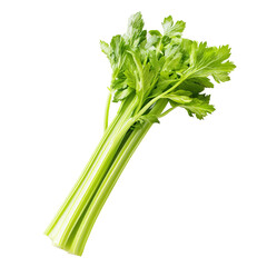 single stem of celery white background isolated