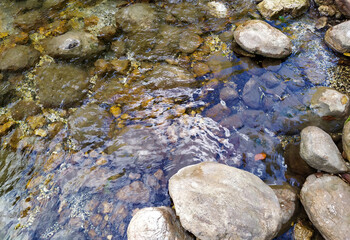 a fragment of a mountain river on a shallow riverbed, autumn in nature