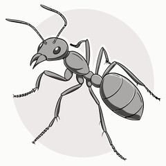 ant on vector
