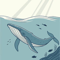 illustration of a shark