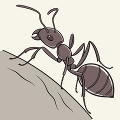 ant on the background