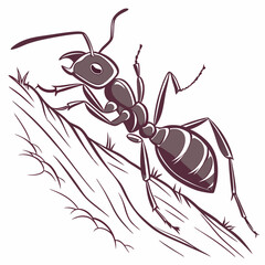 set of ants