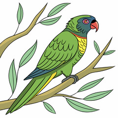 green parrot on a branch