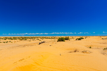 Pomarańczowy piasek pustyni Sahara, niebieski kolor nieba i palące słońce. Widok po horyzont. Egzotyczny kraj, Tunezja, tapeta, tło, puste miejsce na tekst © anettastar