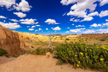 Widok na skaliste góry Dahar, tapeta. Niebieski kolor nieba i palące słońce, skała, kamień, górski krajobraz, egzotyczny kraj, Tunezja © anettastar