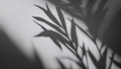 shadow and sunshine of leaf reflection jungle leaves tree gray darkness shade and light blur on wall wallpaper shadows overlay effect mockup design grey tropical shadow foliage artistic background