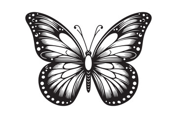 A clean black outline of a butterfly 6.eps