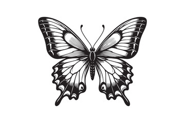 A clean black outline of a butterfly 23.eps