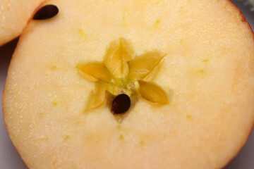 close up of a slice of apple. close up of apple. apple cut in half. inner part of the apple.