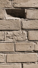 Brick Wall Textured Close-Up Beige Outdoor Day Vertical Pattern