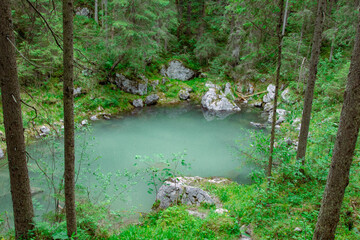 Obraz premium Nature around the Eibsee, Landscape in Bavaria, Germany.