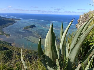 Mont Brabant - Ile Maurice 