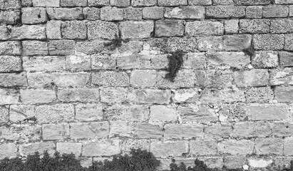 Stone Wall Textured Front View Black White Ancient Structure