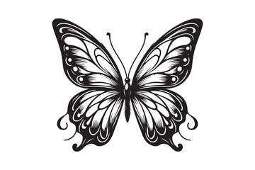 A clean black outline of a butterfly 62.eps
